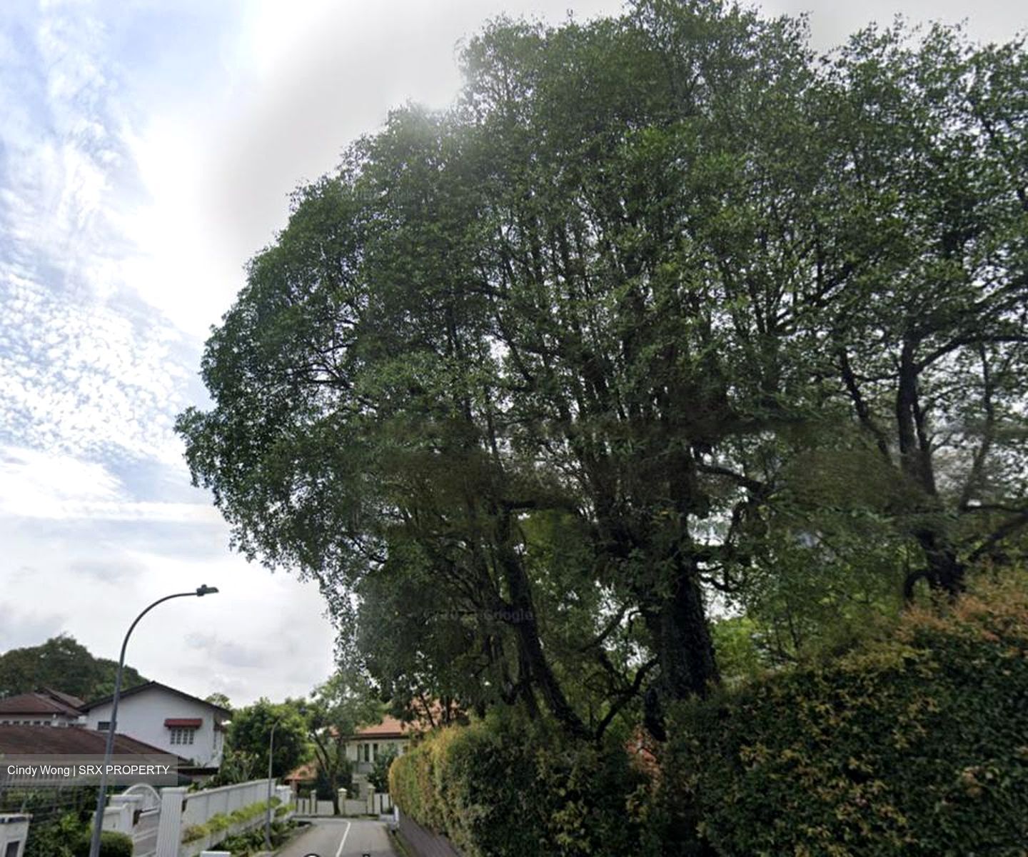 Holland Rise (D10), Detached #457920061